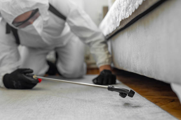 Professional Emergency Pest Control technician working in Westlake Village, IL